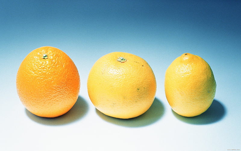 Fruit graphy Orange, HD wallpaper