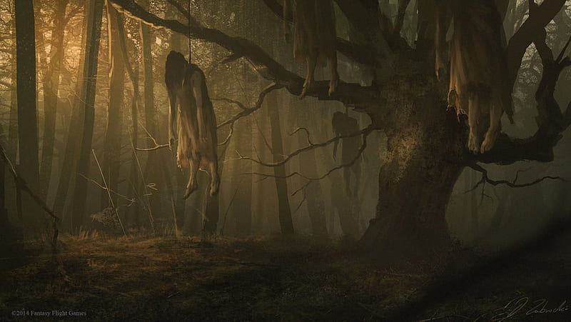 Hanged, forest, corpse, dead, green, corpses, hanging, HD wallpaper