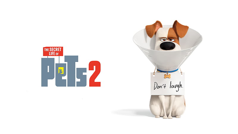 the secret life of pets 2, animation, dog, Movies, HD wallpaper