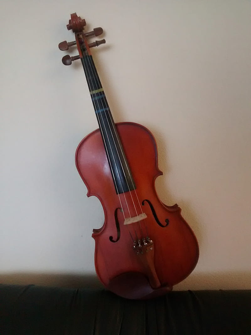 Viola, instrumento musical, the survival, HD phone wallpaper