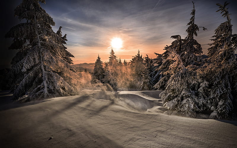 snowy forest, evening, sunset, winter landscape, snow, mountains, forest, winter, HD wallpaper