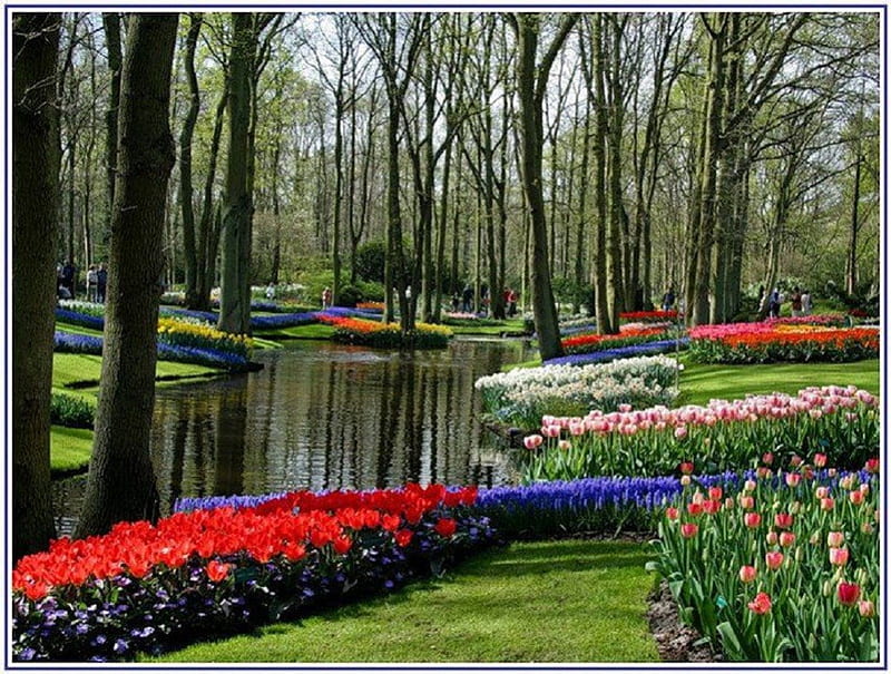 Scenic Floral Gardens, gardens, flowers, scenic, waterway, HD wallpaper