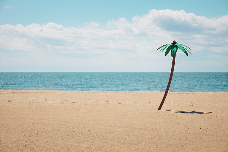 green artificial palm tree on seashore, HD wallpaper