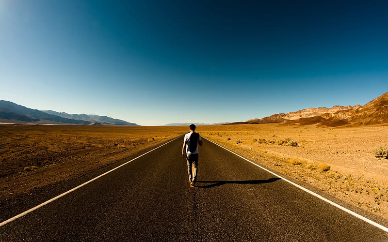 man on the road-Amazing desert scenery, HD wallpaper