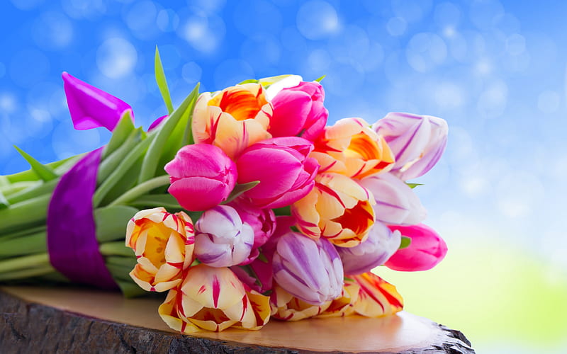 colorful tulips bokeh, spring flowers, bouquet of tulips, colorful flowers, macro, tulips, HD wallpaper