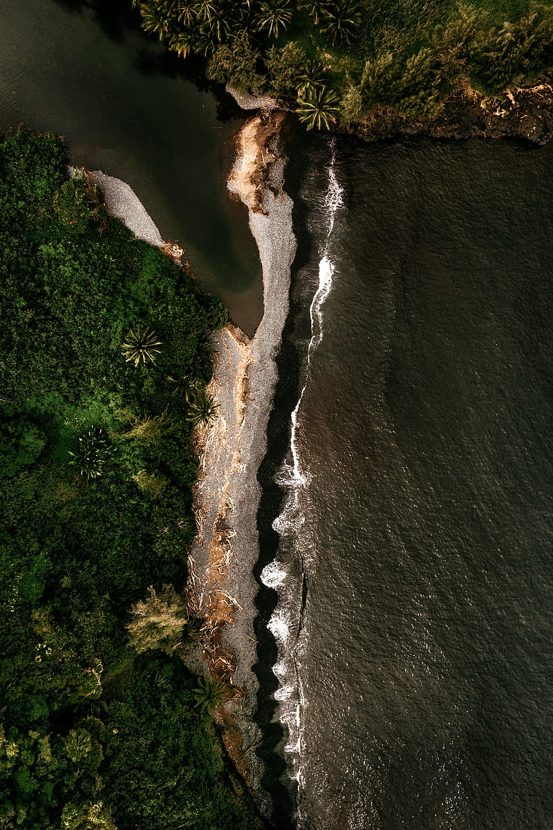 island, coast, aerial view, sea, trees, HD phone wallpaper