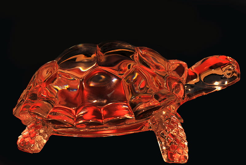 HD wallpaper turtle crystal turtle