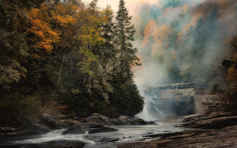 autumn landscape, mountain river, waterfall, fog, autumn, forest, yellow trees, HD wallpaper