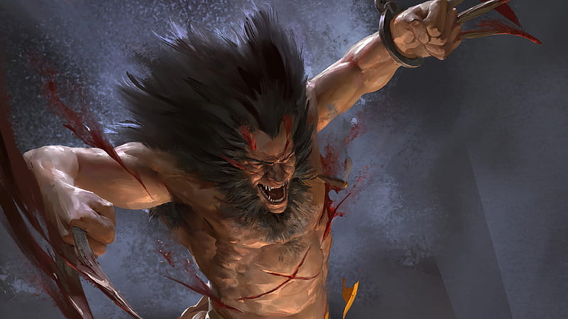 X-Men, Wolverine, Blood, Marvel Comics, HD wallpaper