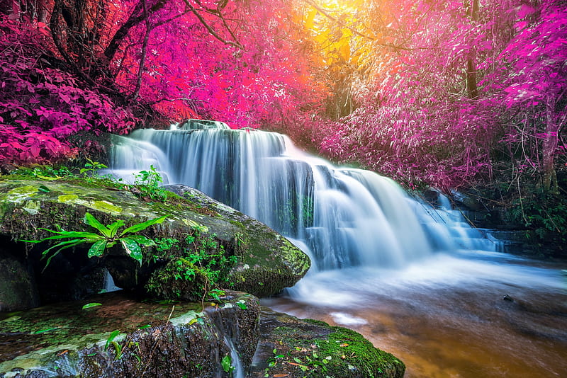 HD-wallpaper-forest-waterfall-trees-rocks-forest-colorful-cascades-waterfall-beautiful.jpg