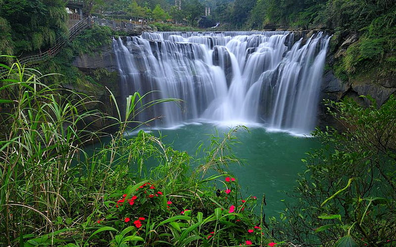 Shifen Waterfall, Taiwan, taiwan, waterfall, flowers, nature, HD wallpaper