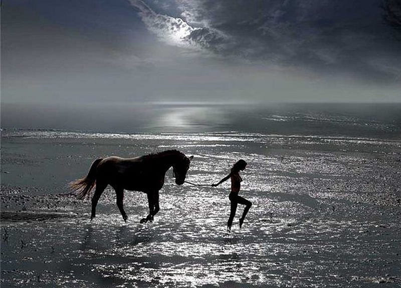 A Beautiful Moment, pretty, surf, sunset, clouds, sweet, beach, she, splendor, love, beauty, lovely, romance, ocean, waves, sky, horses, water, moonlight, bonito, woman, sea, moon, animals, night, female, romantic, view, horse, girl, peaceful, summer, nature, lady, HD wallpaper
