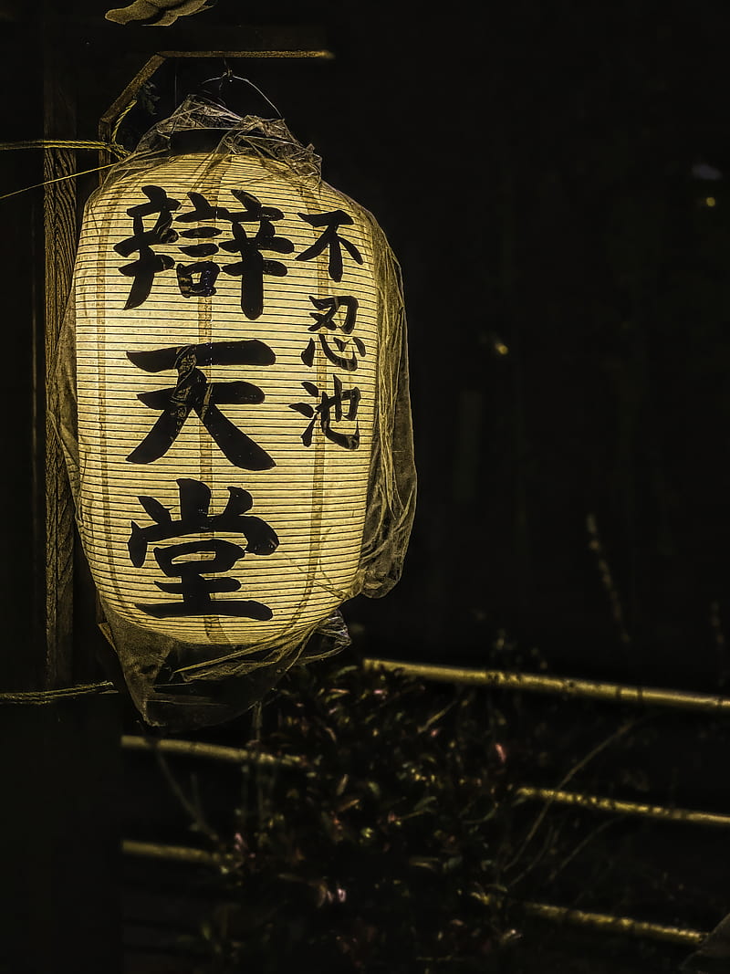 chinese lantern, flashlight, light, hieroglyphs, words, HD phone wallpaper
