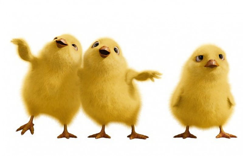 Hop (2011), movie, chicken, hop, yellow, easter, spring, phil, cute, bird, funny, white, HD wallpaper