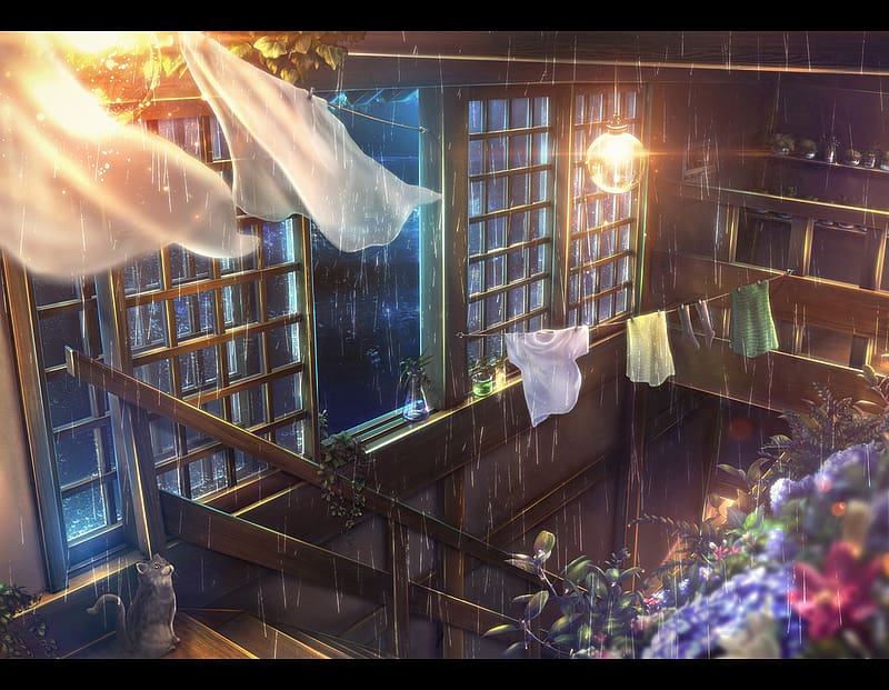 Anime, Rain, Night, Flower, Stairs, Room, Light Bulb, Original, HD wallpaper