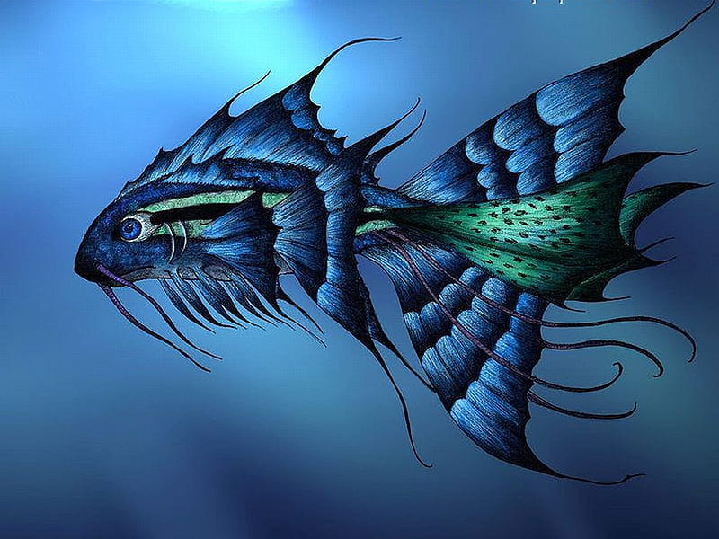 Amazing Fish, amazing, cool, fish, HD wallpaper