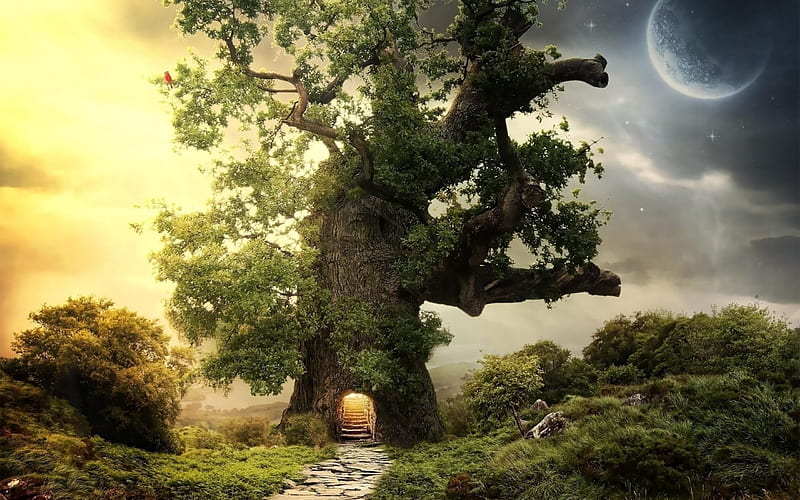 tree house, huge tree, tree fantasy, HD wallpaper