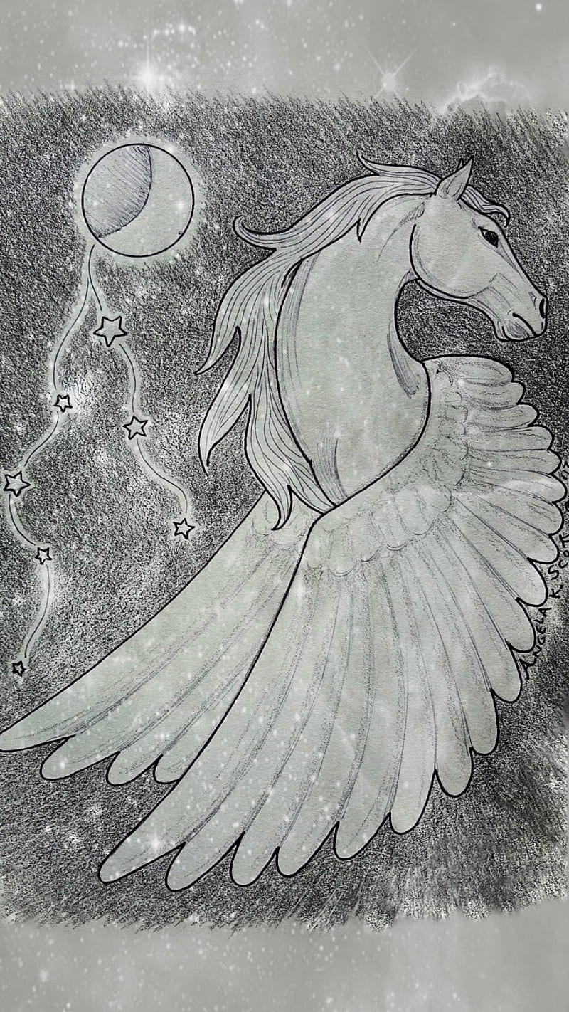 Pegasus Dream, art, drawn, fantasy, horse, moon, myth, starry, stars, wings, HD phone wallpaper