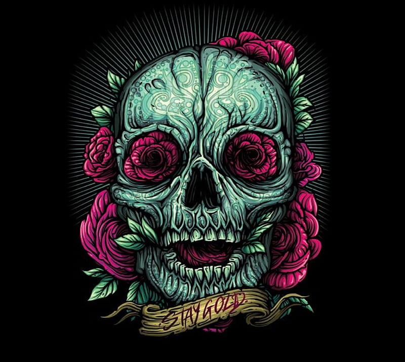 Skull N roses, HD wallpaper