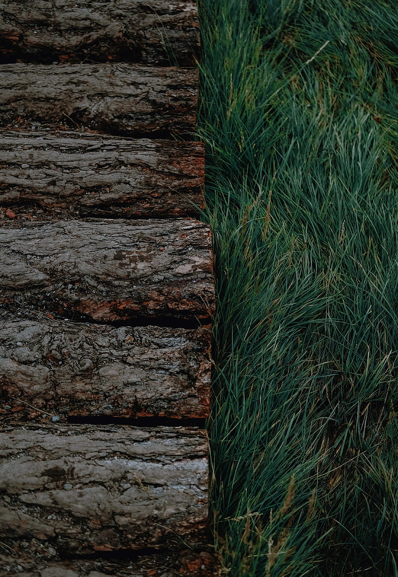 logs, grass, bark, green, HD phone wallpaper