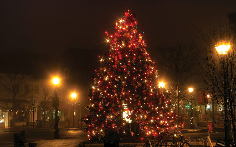 Christmas Tree, city, lightining, square, HD wallpaper