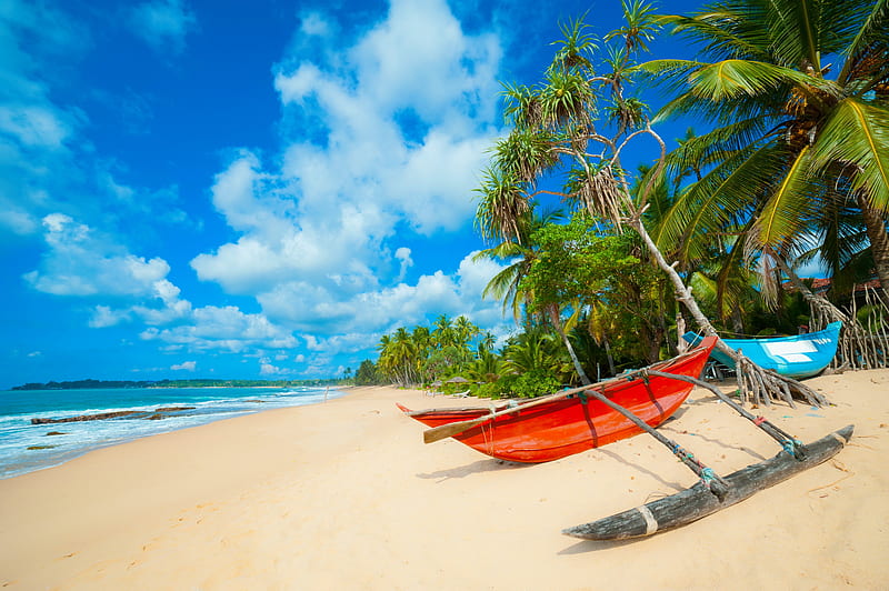 Tropical beach, rest, vacation, exotic, breeze, sky, palms, sea, beach, boats, Sri-Lanka, paradise, summer, tropical, sands, blue, fishing, HD wallpaper