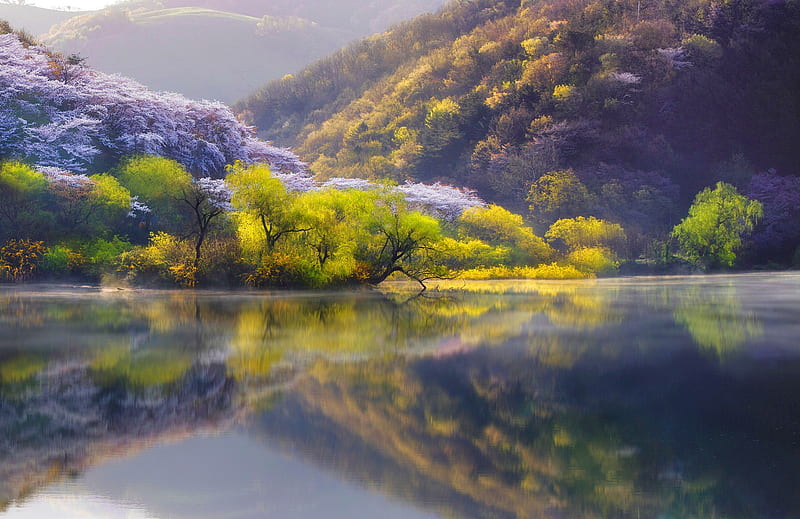 Spring in Japan, hills, japan, bonito, spring, trees, lake, mountain ...