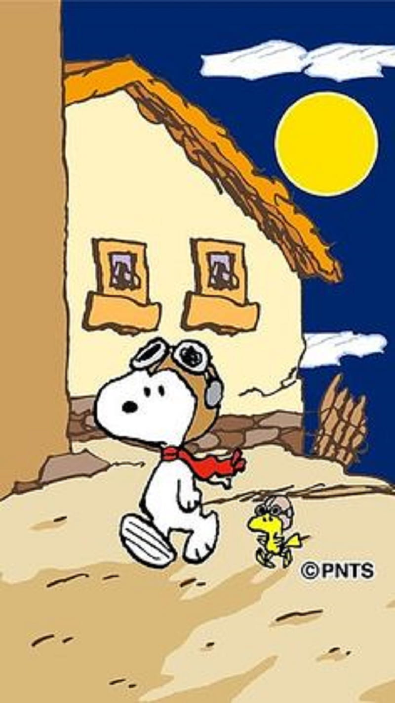 Snoopy, animal, cartoon, HD phone wallpaper