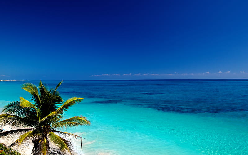 A Yucatan Paradise, distant, ocean, colors, palm, bonito, sky, clouds, tree, sand, beaches, nature, blue, HD wallpaper