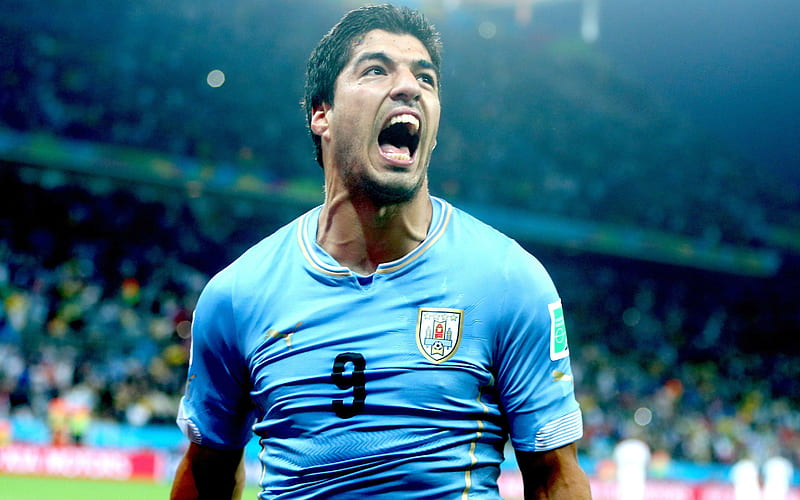 Luis Suarez, match, Uruguayan football team, footballers, Suarez, Uruguay National Team, soccer, HD wallpaper