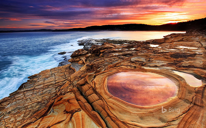 Putty Beach in New South Wales Australia, Whales, South, New, in, Putty, beach, HD wallpaper