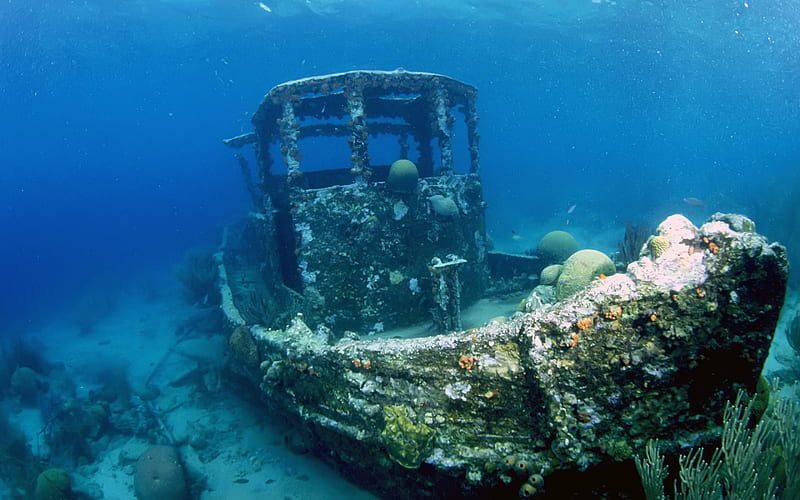 Old Wreck, underwater, plats, ocean, coral, barnacles, sand, marine, ship, rust, HD wallpaper
