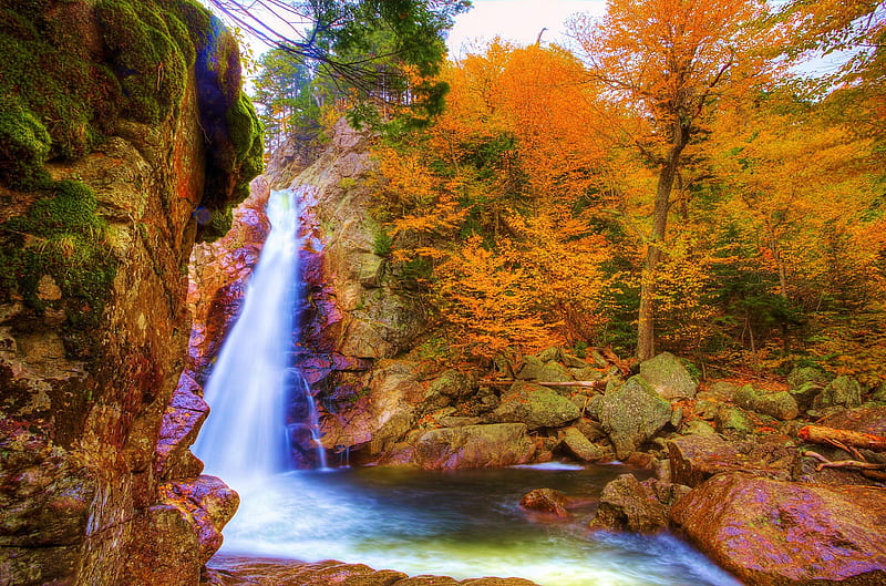 Glenn Ellis Falls, New Hampshire, USA, rocks, autumn, leaves, water, stones, trees, HD wallpaper