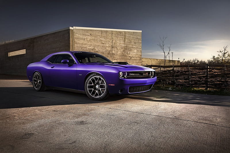 2016-Dodge-Challenger-Plum-Crazy, Purple, 2016, Plum, Mopar, HD wallpaper