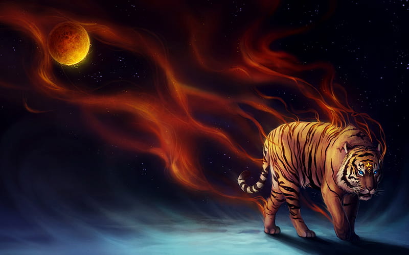 burning tiger, art, painted tiger, predator, space, HD wallpaper