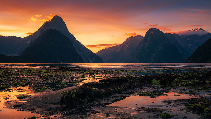 Milford Sound, South Island, New Zealand, mountains, sunset, colors, fjordland, sky, water, reflections, HD wallpaper