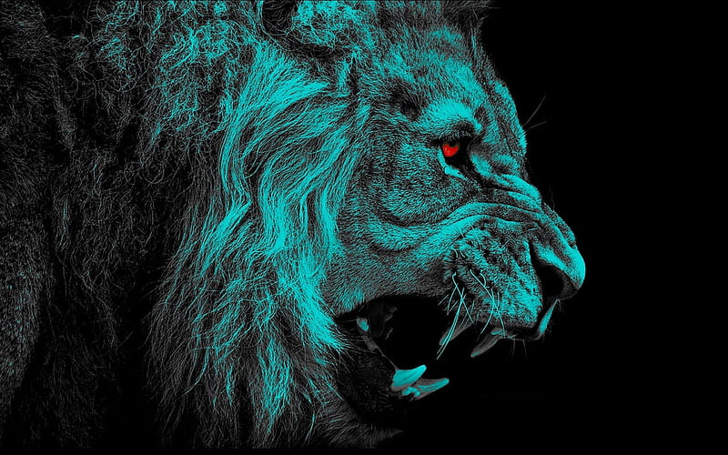 Lion on a black background face of a lion dangerous animals lions  wildlife HD wallpaper  Peakpx