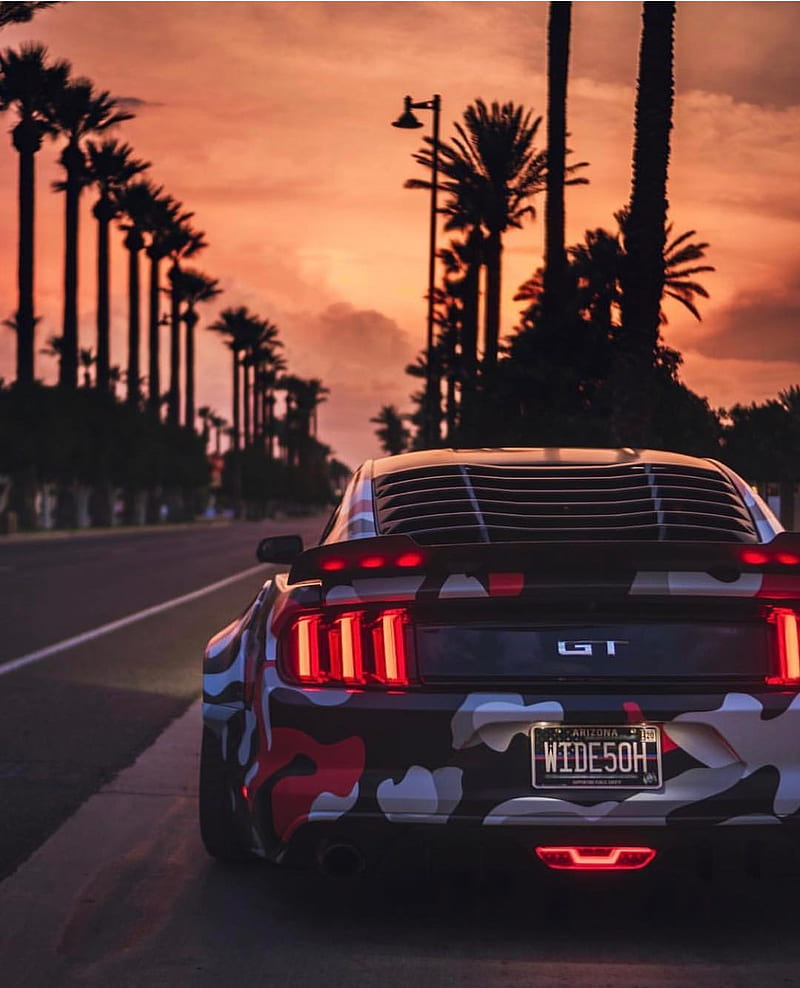 Mustang with Palms, mustang, ford, palms, street, sun, afternoon, tuning, car, HD phone wallpaper