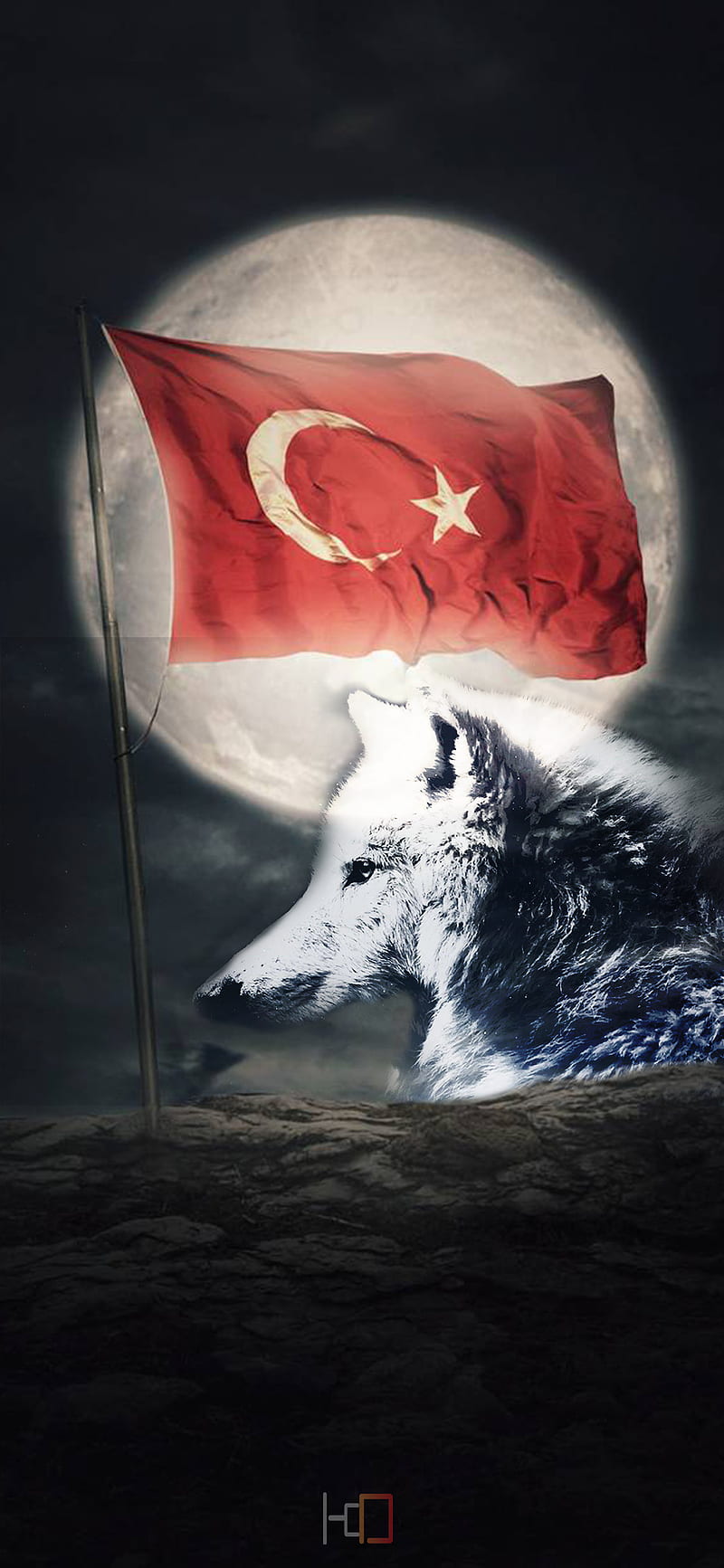 TURK BAYRAGI , abdulhamit, asker, azerbaycan, flag, bozkurt, erdogan, mhp, turkish, wolf, HD phone wallpaper