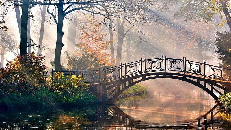 Bridge Between River Trees Fog Sunrays Background Scenery, HD wallpaper