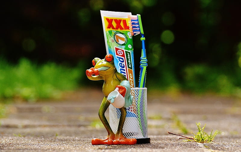 CLEANING TEETH FROG, TOOTHPASTE, FROG, ABSTRACT, HD wallpaper