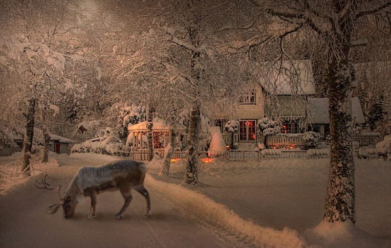 A reindeer at the entrance, reindeer, house, snow, winter, HD wallpaper