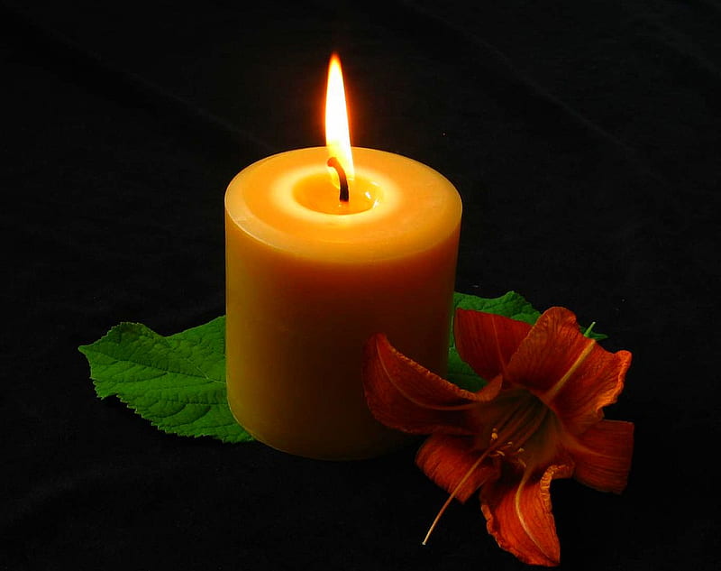 Burning-Candle, candle, bonito, burning, HD wallpaper