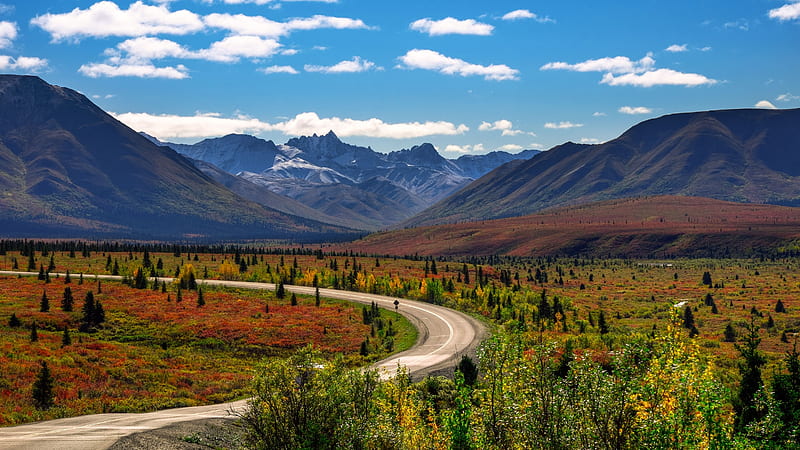 Landscape of Alaska's Denali National Park, Mountains, National Parks, Landscapes, Nature, HD wallpaper