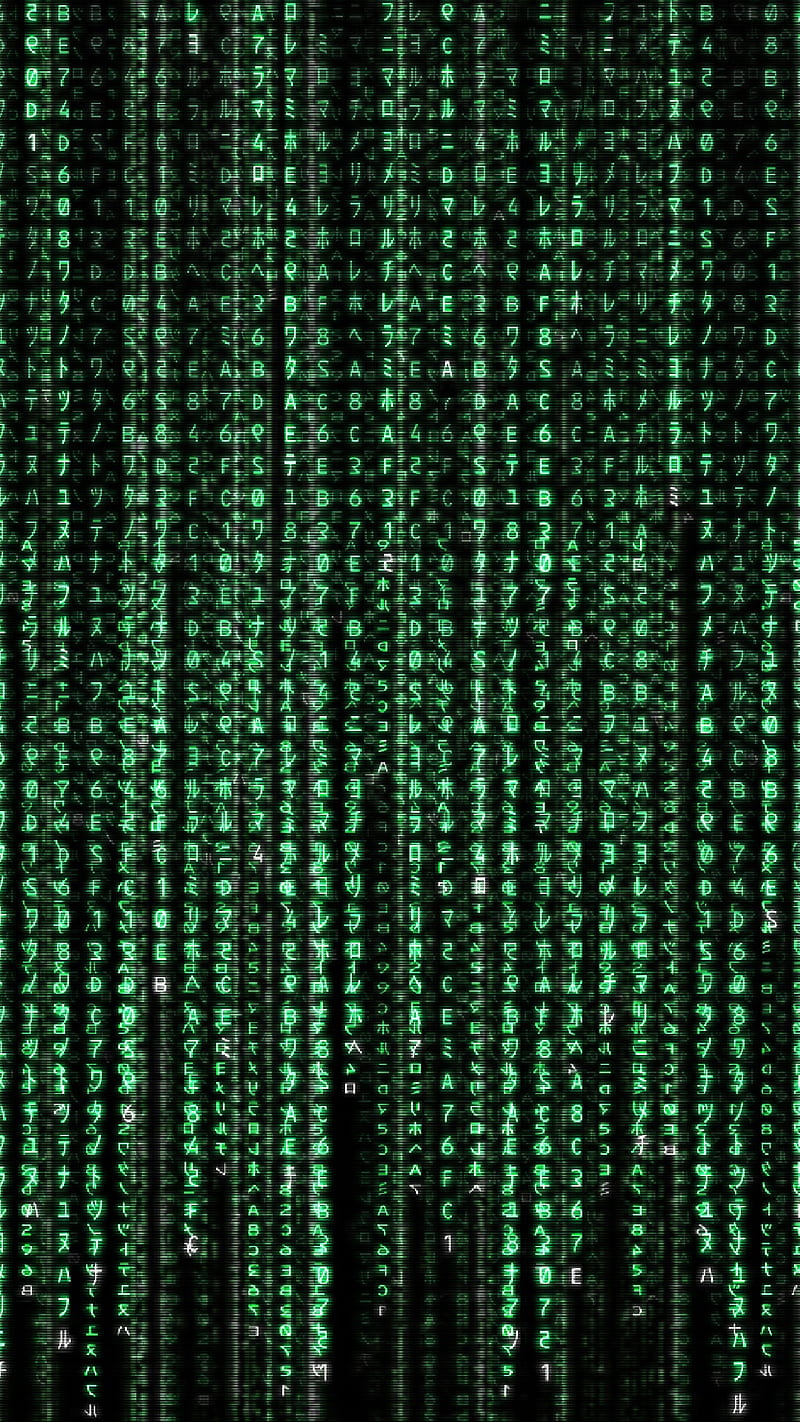 Matrix, character, letter, number, HD phone wallpaper