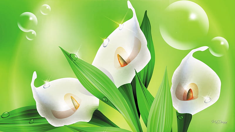 Cala Lilies and Bubbles, lilies, spring, floral, lime, Easter, green, bubbles, flowers, lily, Firefox Persona theme, HD wallpaper