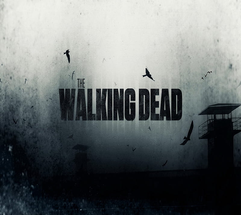 The Walking Dead1, twd zombies, HD wallpaper