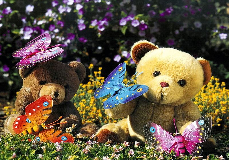 Butterfly teddy best sale bear