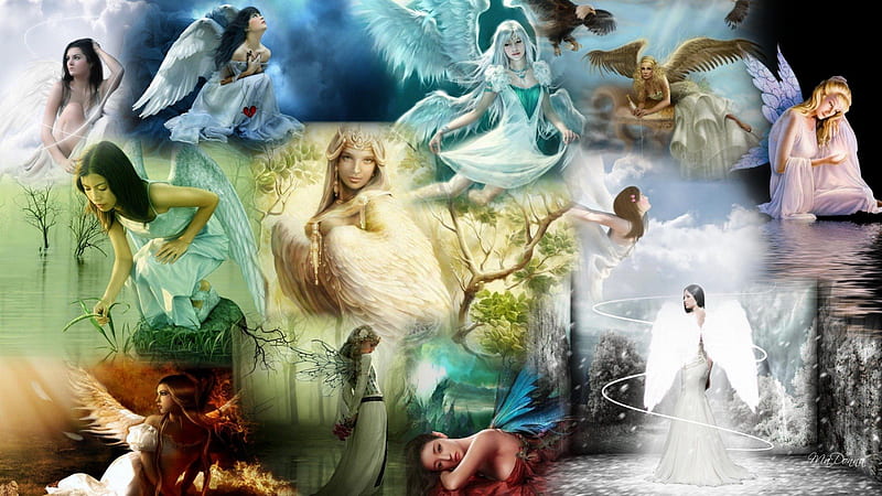 Angels and Fairies, wings, fae, wish, elf, bonito, collage, believe, angels, women, heavenly, fairies, protect, HD wallpaper