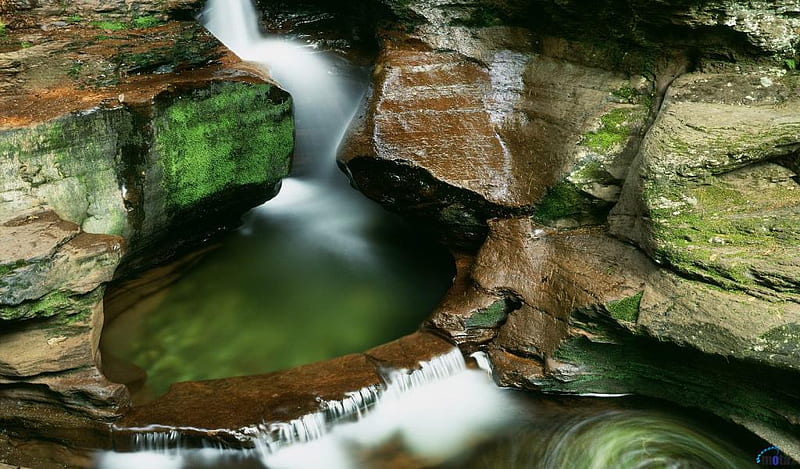 Adams-Falls-in-early-summer-Ricketts-Glen-State-Park, waterfall, nature, water, rock, HD wallpaper